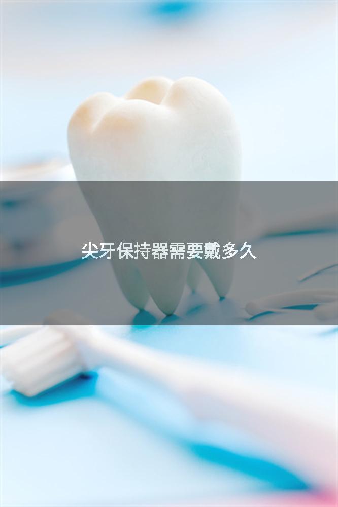 尖牙保持器需要戴多久