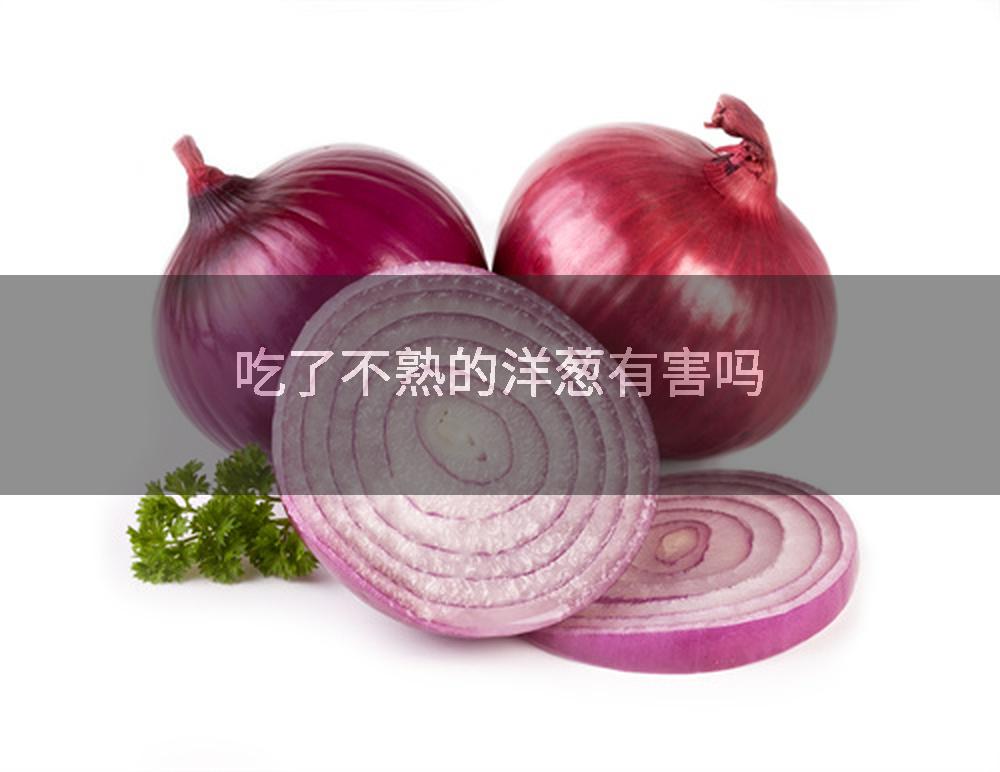 吃了不熟的洋葱有害吗