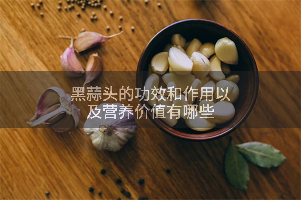 黑蒜头的功效和作用以及营养价值有哪些