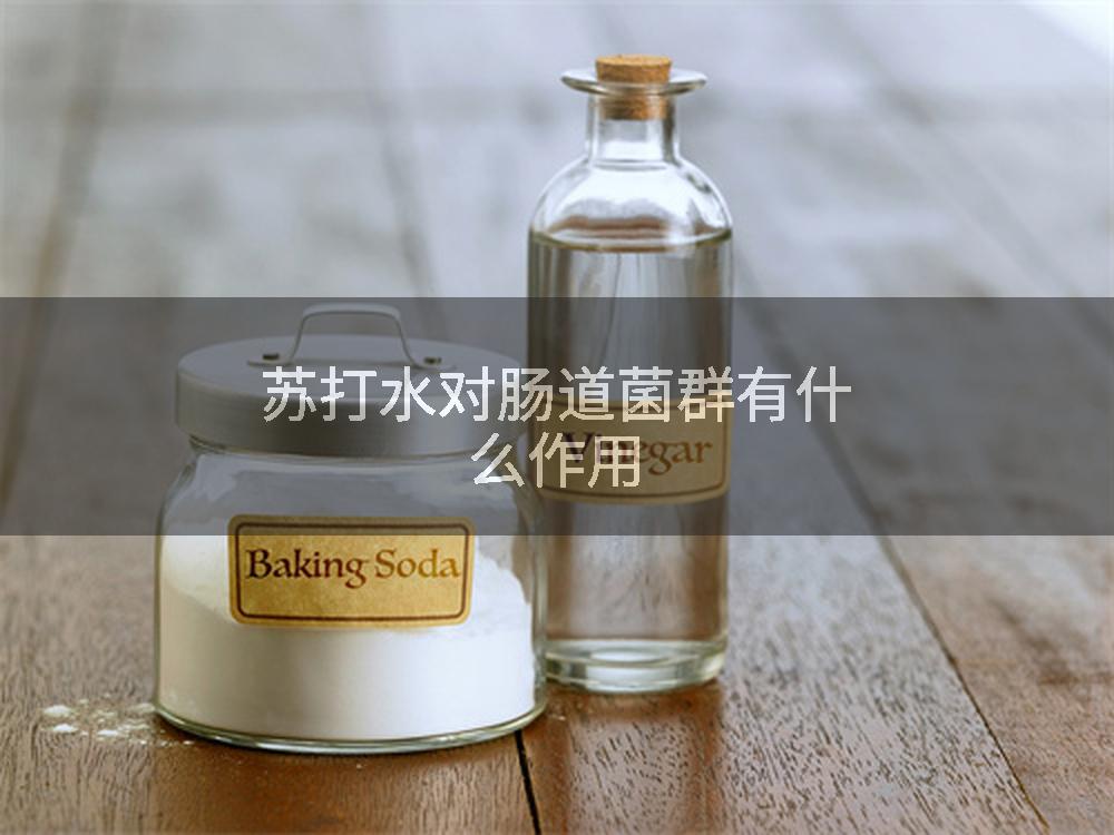 苏打水对肠道菌群有什么作用