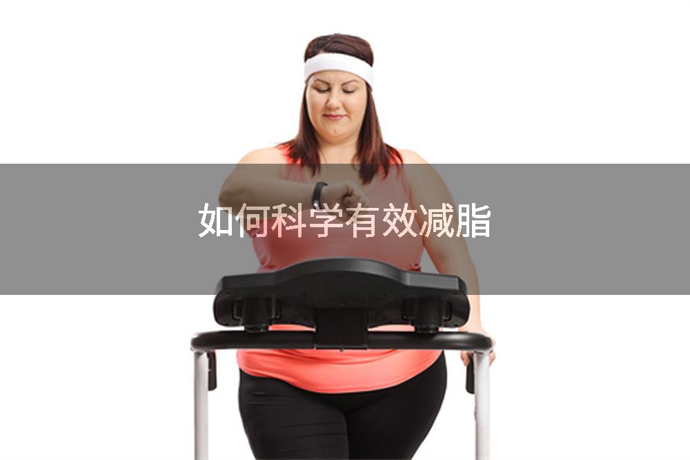 如何科学有效减脂