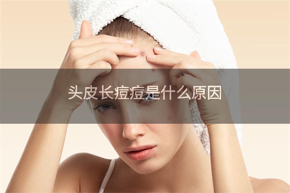 头皮长痘痘是什么原因