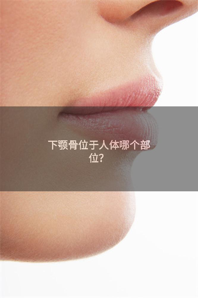 下颚骨位于人体哪个部位？