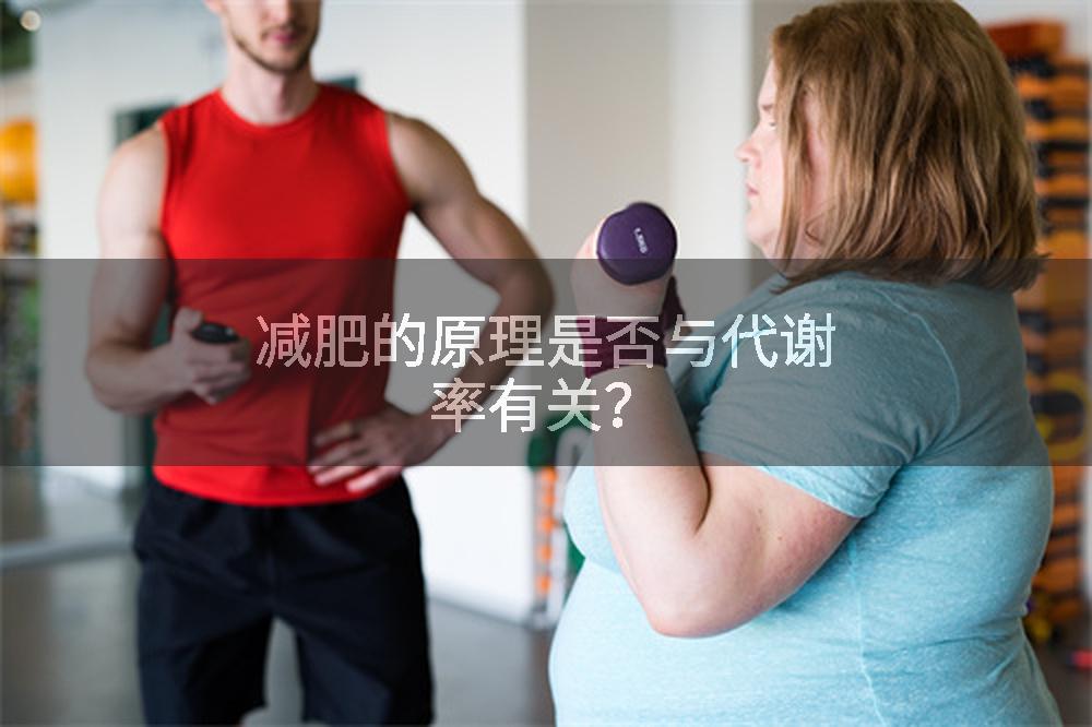 减肥的原理是否与代谢率有关?