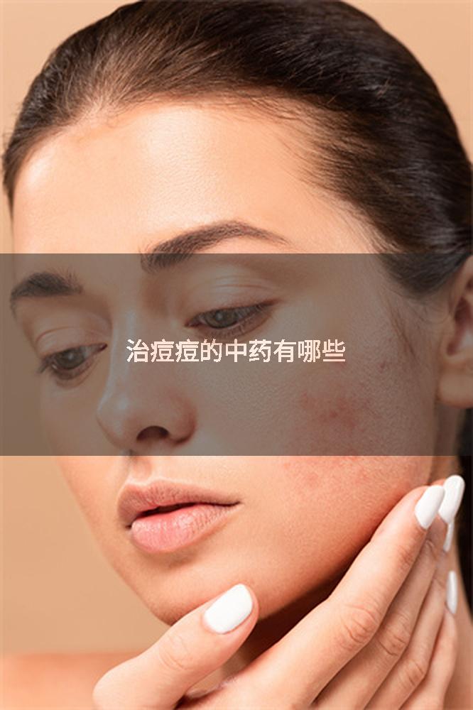 治痘痘的中药有哪些