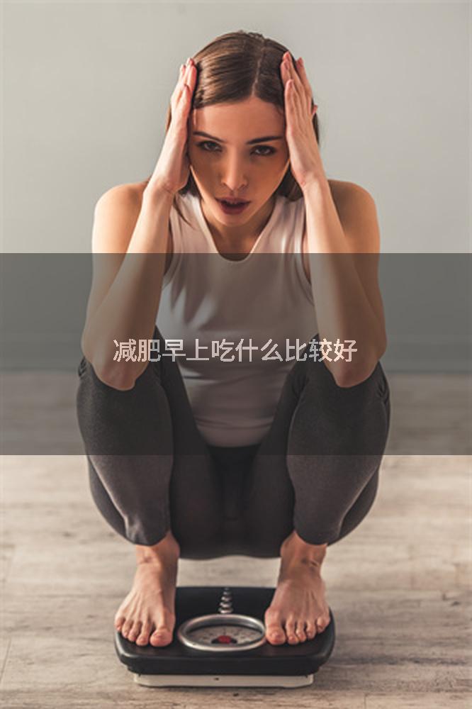 减肥早上吃什么比较好