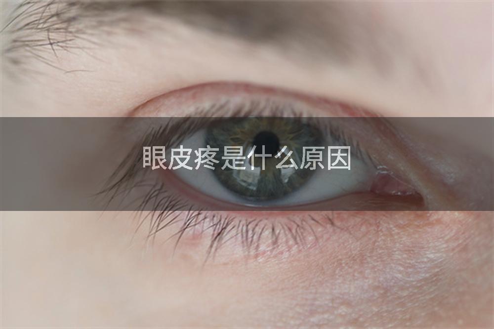 眼皮疼是什么原因