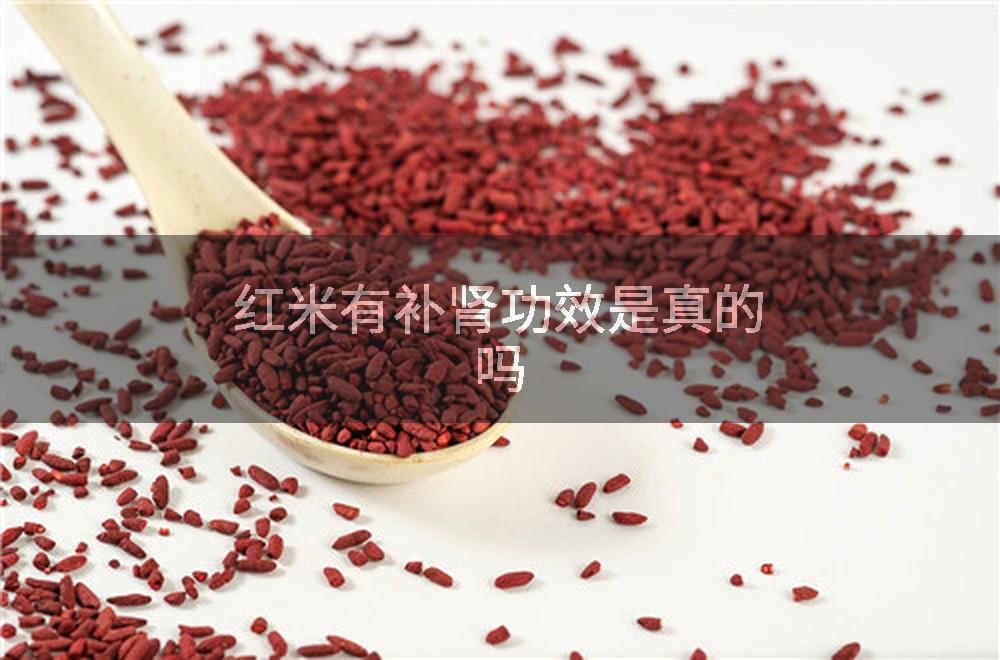 红米有补肾功效是真的吗