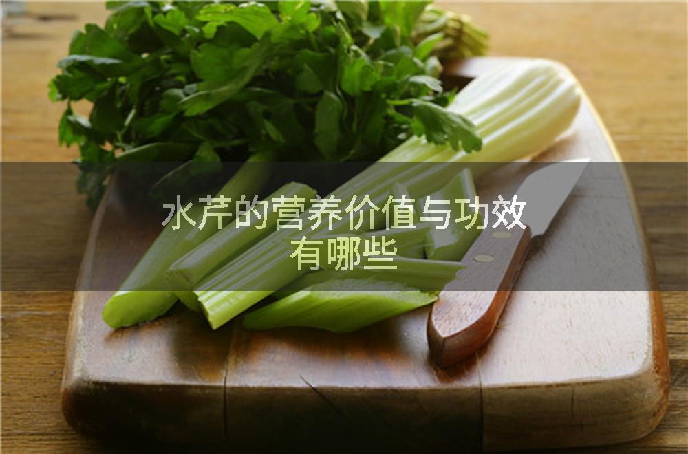 水芹的营养价值与功效有哪些