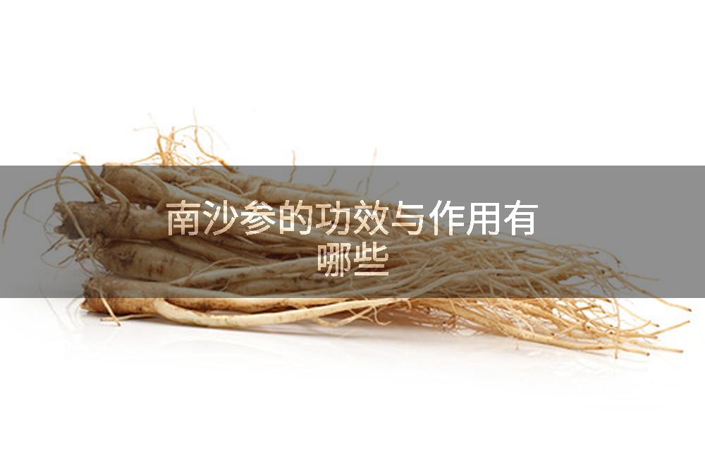 南沙参的功效与作用有哪些