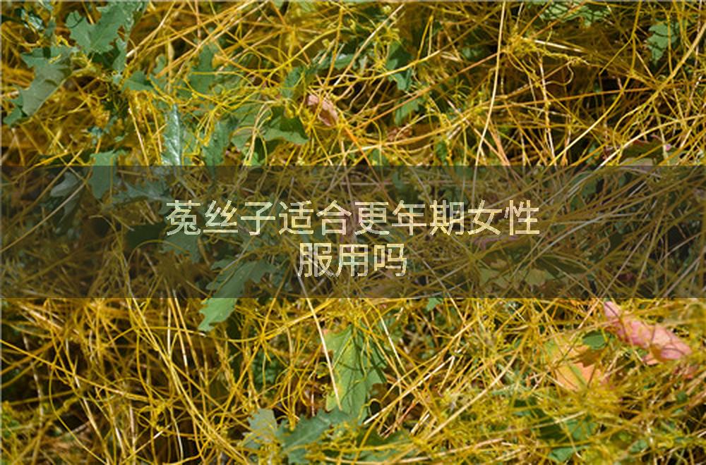 菟丝子适合更年期女性服用吗
