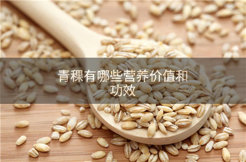 青稞有哪些营养价值和功效