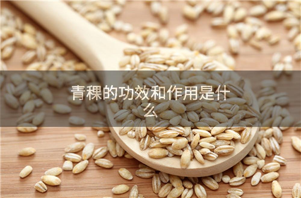 青稞的功效和作用是什么