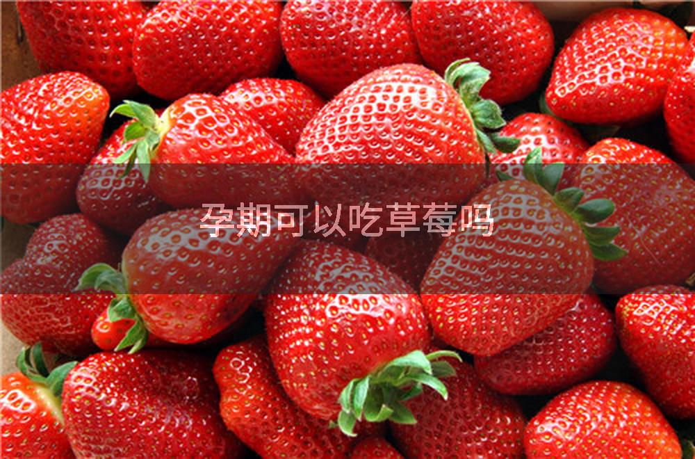 孕期可以吃草莓吗