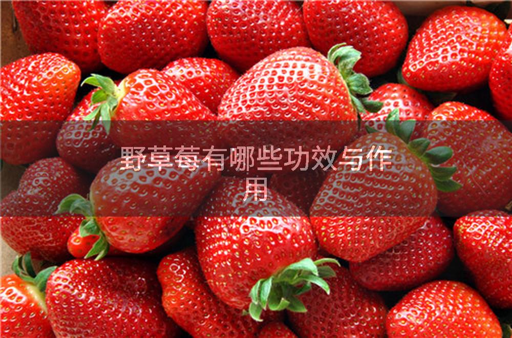 野草莓有哪些功效与作用