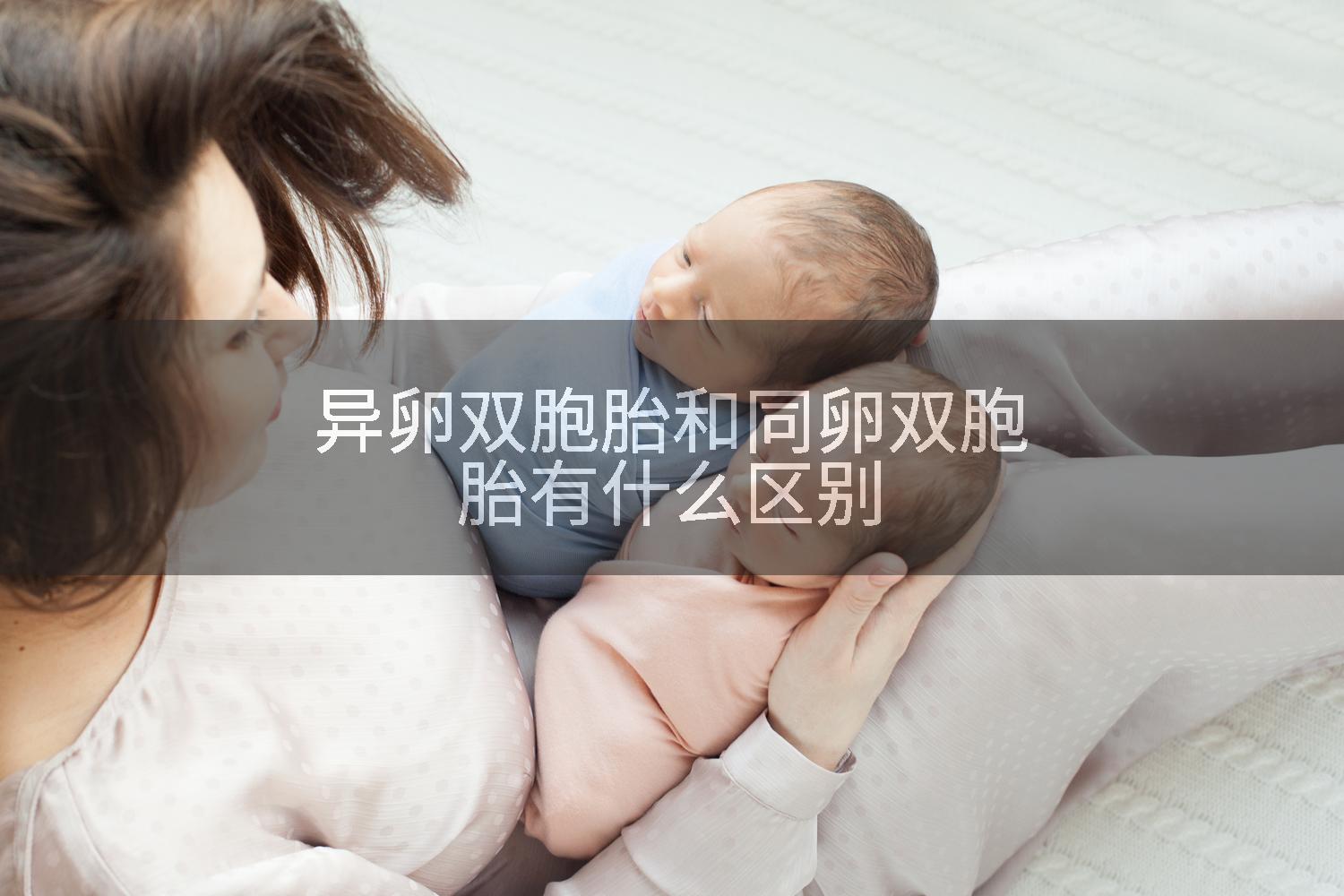 异卵双胞胎和同卵双胞胎有什么区别
