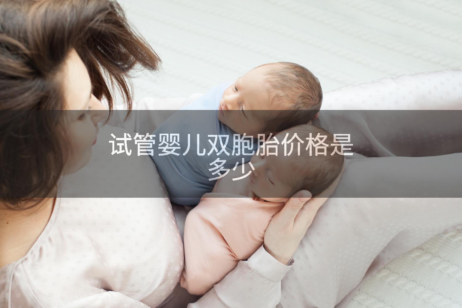 试管婴儿双胞胎价格是多少