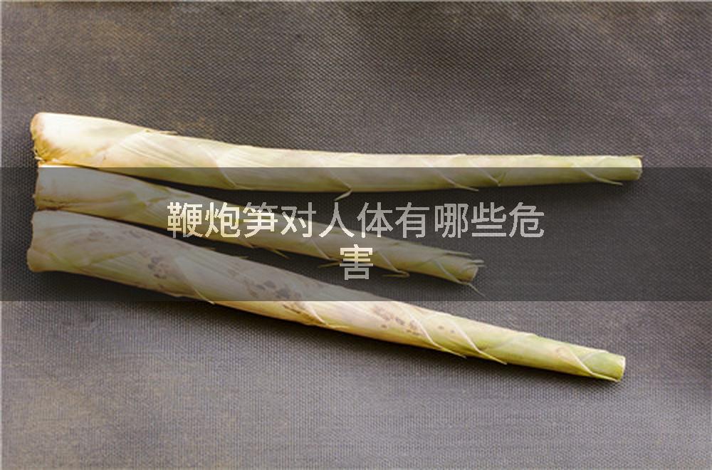 鞭炮笋对人体有哪些危害
