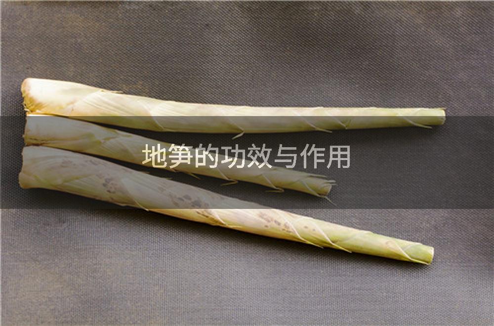 地笋的功效与作用