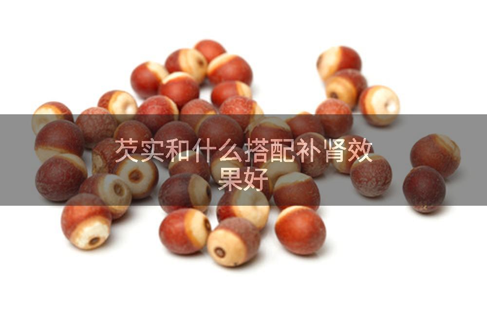 芡实和什么搭配补肾效果好
