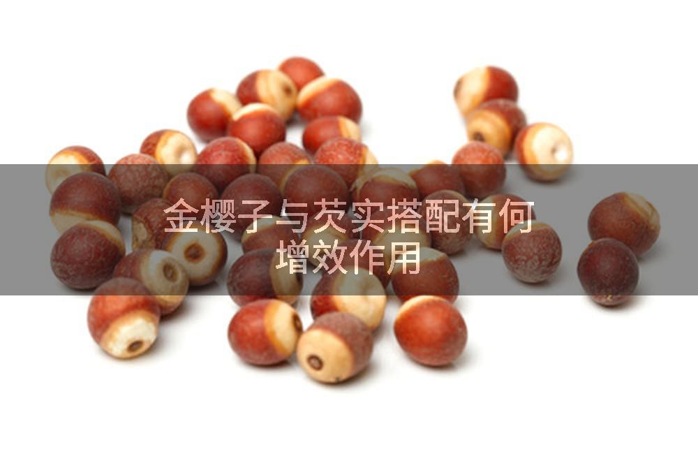 金樱子与芡实搭配有何增效作用