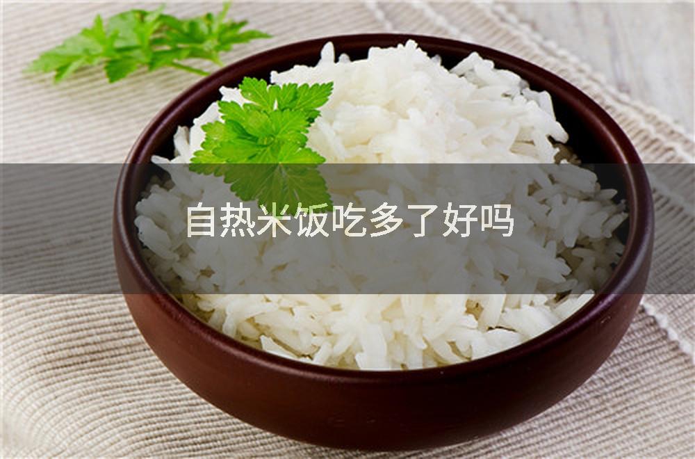 自热米饭吃多了好吗