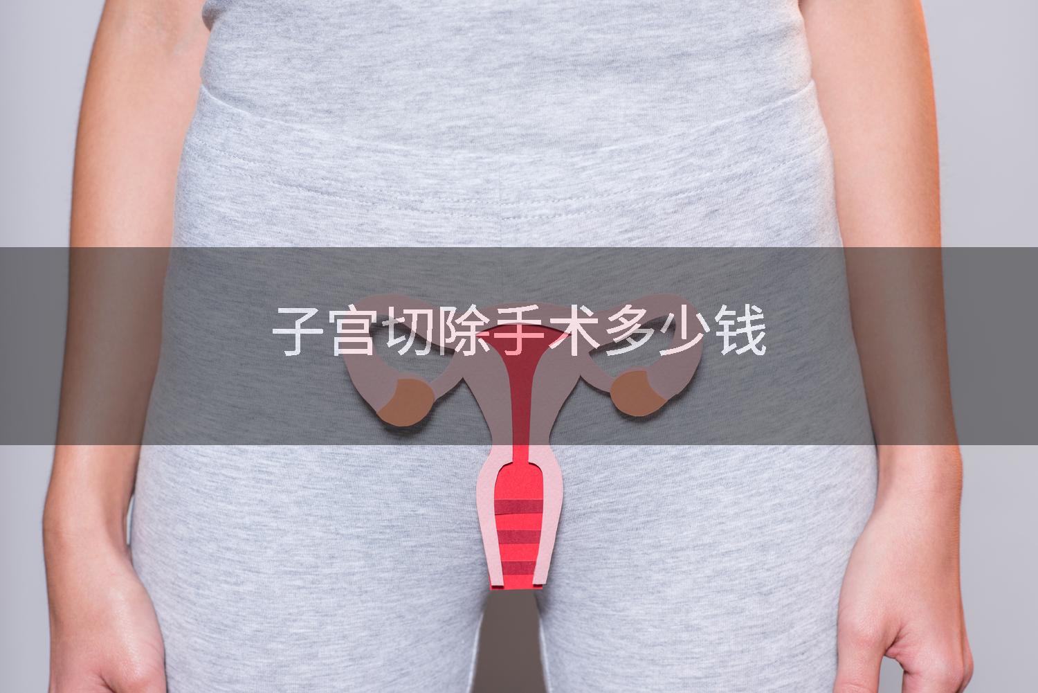子宫切除手术多少钱