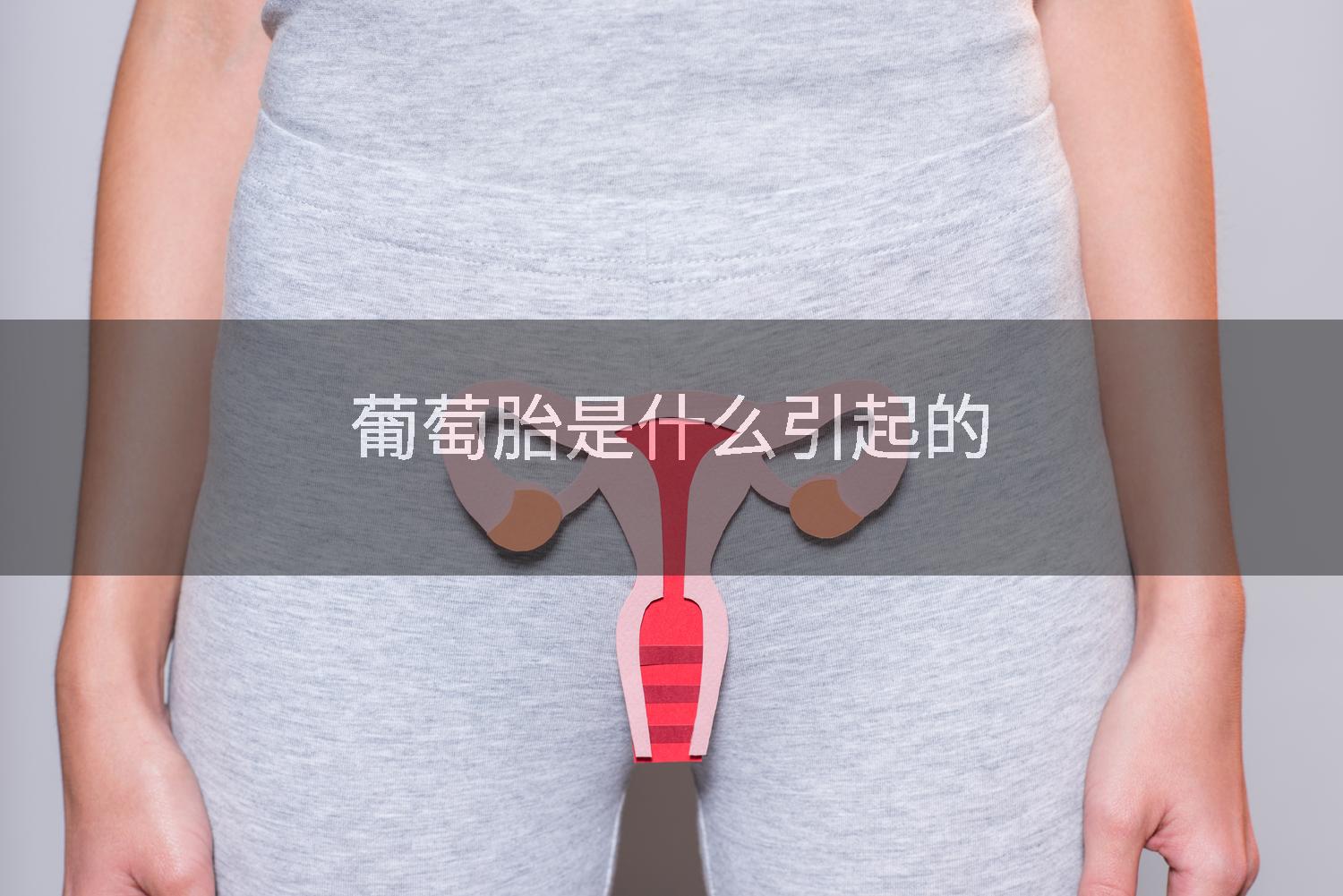 葡萄胎是什么引起的