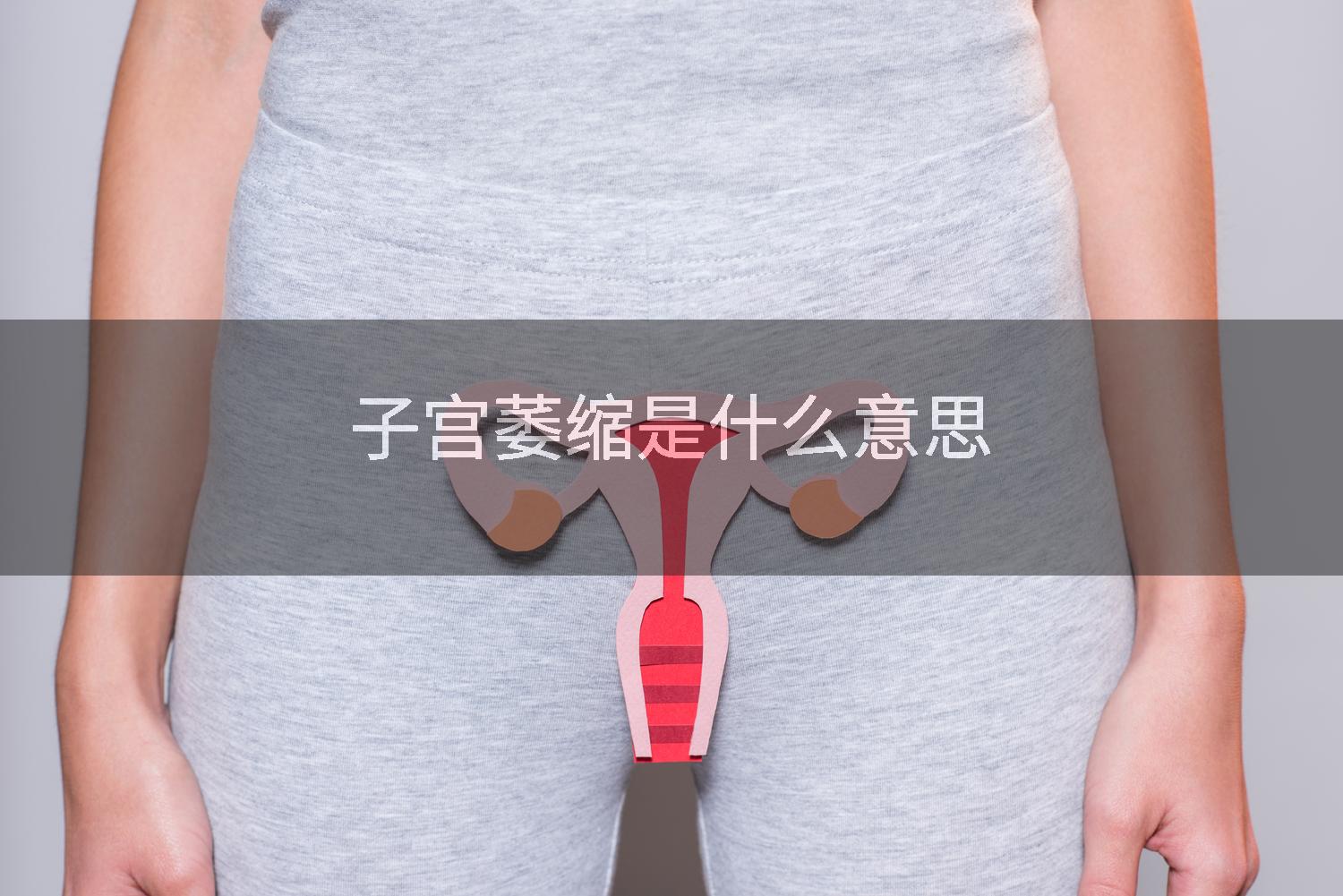 子宫萎缩是什么意思