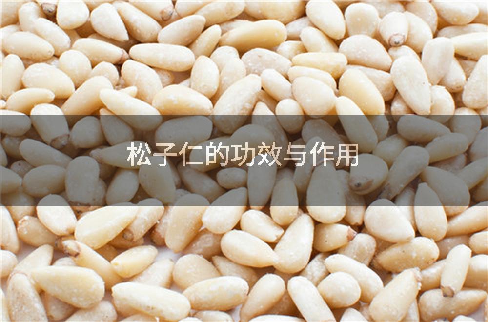 松子仁的功效与作用