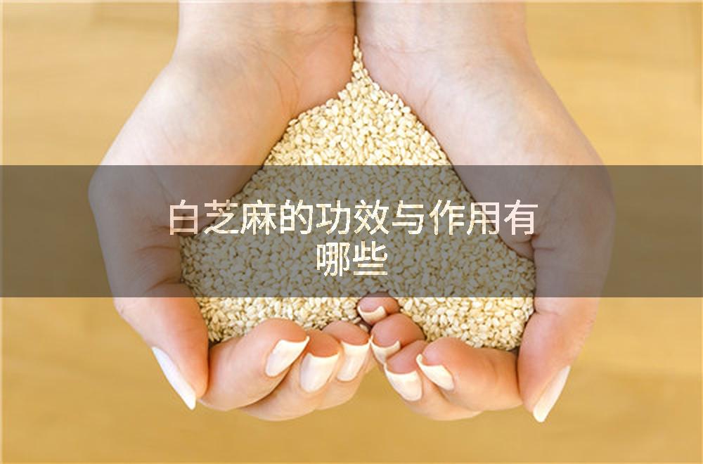白芝麻的功效与作用有哪些