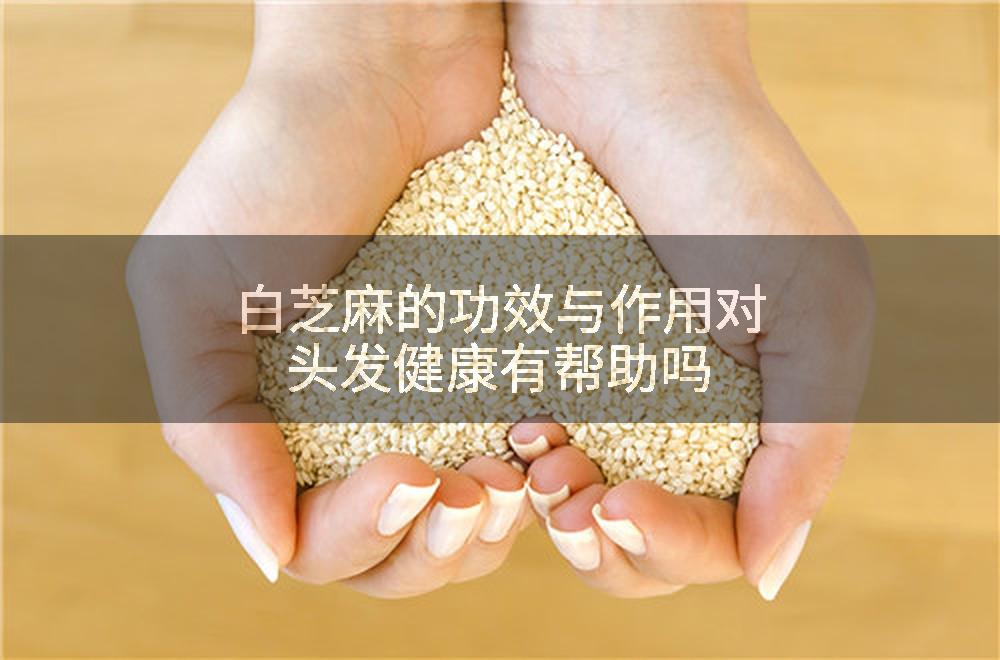白芝麻的功效与作用对头发健康有帮助吗