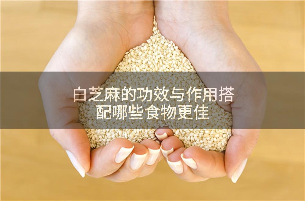 白芝麻的功效与作用搭配哪些食物更佳