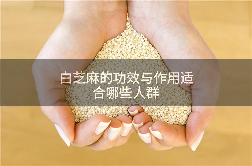白芝麻的功效与作用适合哪些人群