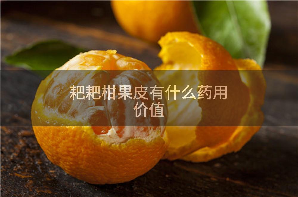 耙耙柑果皮有什么药用价值