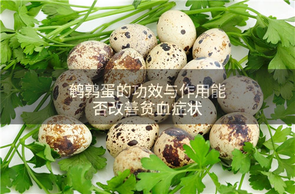 鹌鹑蛋的功效与作用能否改善贫血症状