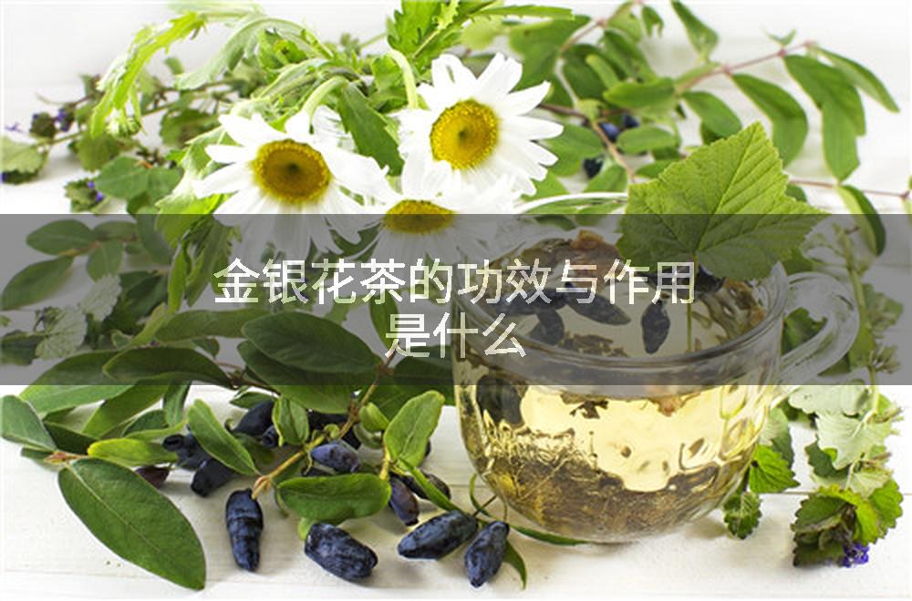 金银花茶的功效与作用是什么