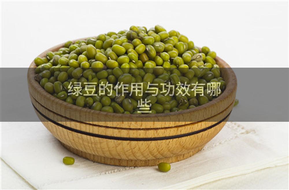 绿豆的作用与功效有哪些