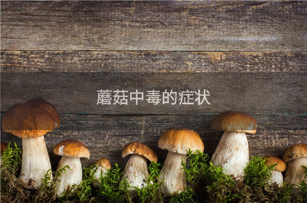 蘑菇中毒的症状