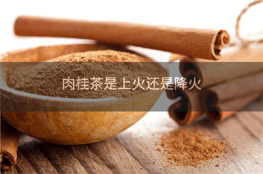 肉桂茶是上火还是降火