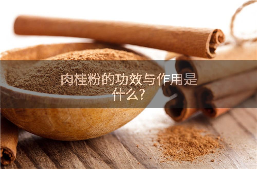 肉桂粉的功效与作用是什么?