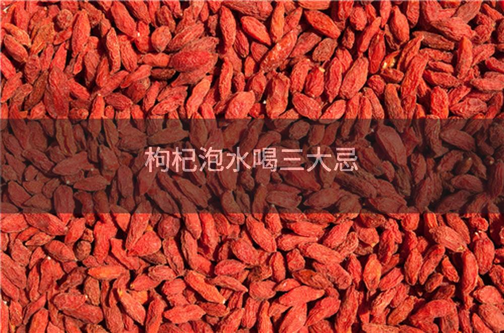 枸杞泡水喝三大忌
