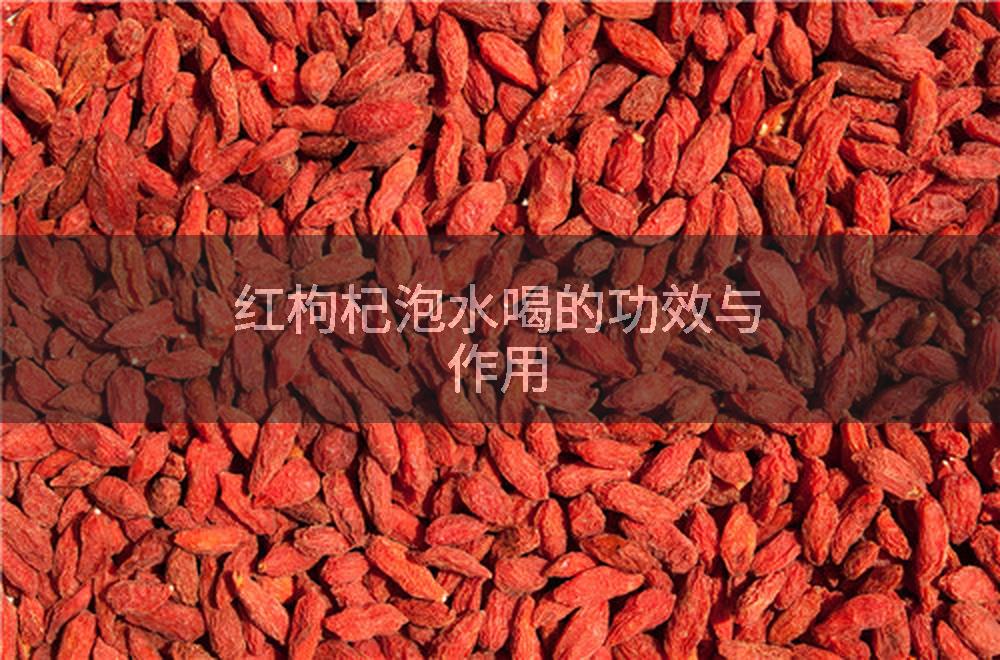 红枸杞泡水喝的功效与作用
