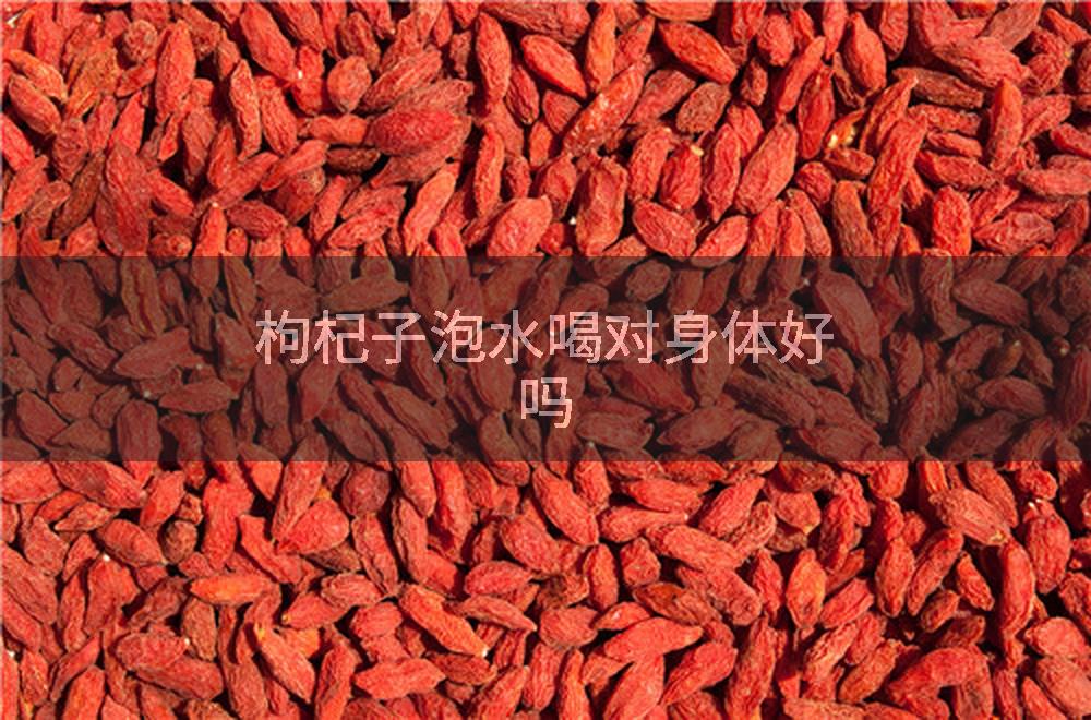 枸杞子泡水喝对身体好吗