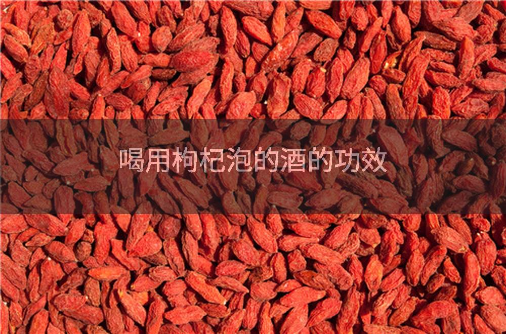 喝用枸杞泡的酒的功效