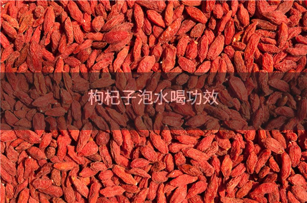 枸杞子泡水喝功效