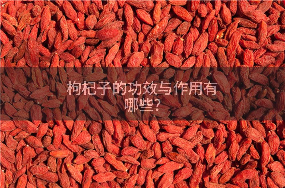 枸杞子的功效与作用有哪些?