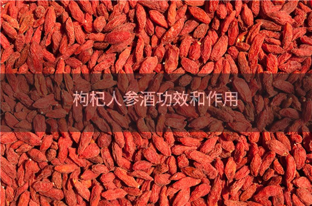枸杞人参酒功效和作用