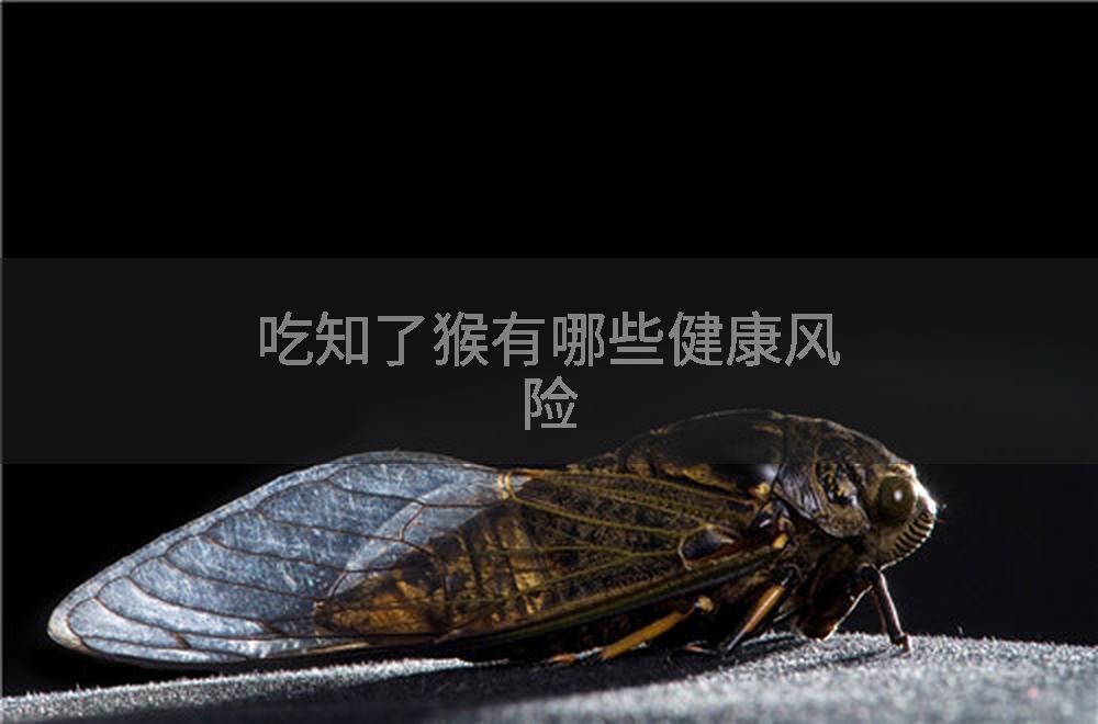 吃知了猴有哪些健康风险