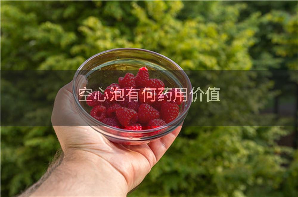 空心泡有何药用价值